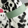 Dog collar Jacquard olive green S 42cm