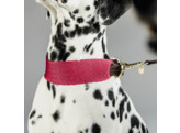 Dog collar Jacquard pink S 42cm