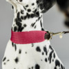 Dog collar Jacquard pink XS 37cm