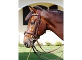 DC.Double Bridle Combined Noseband