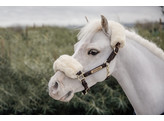 Leather Sheepskin halter natural Pony