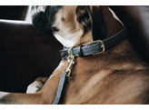 Plaited Nylon Dog collar grey XS 37cm
