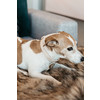 Dog Collar wool beige XL 45-75cm