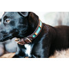 Dog Collar Handmade Pearls light blue XS 32-40cm