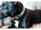 Dog Collar Handmade Pearls light blue L 52-62cm