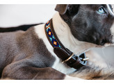 Dog Collar Handmade Pearls blue L 52-62cm