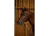 Flash noseb Bridle With Snap Hooks Brown Cob WC