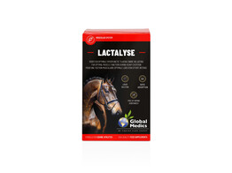 Lactalyse 0.4 L